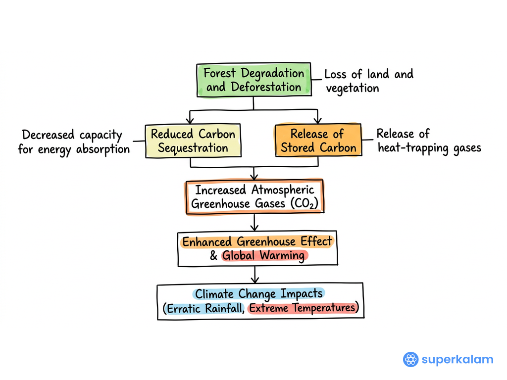 Forest Climate Change Feedback Loop Flowchart