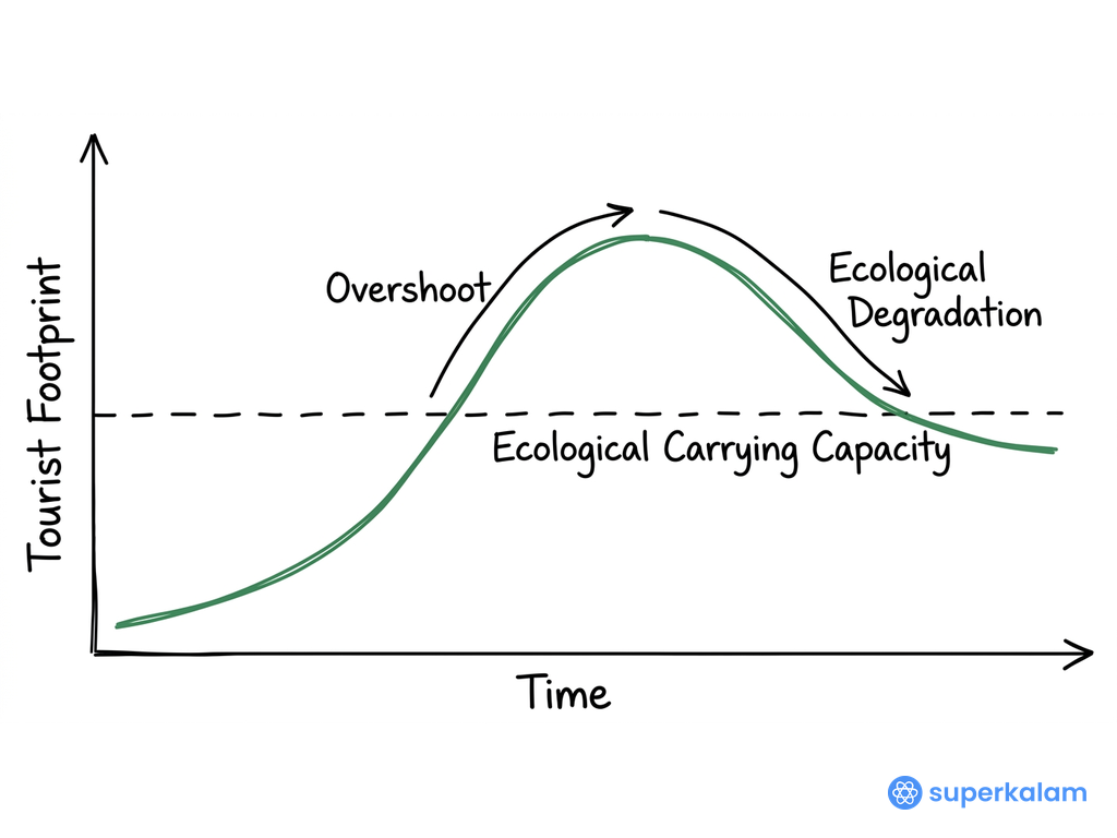 Tourist Footprint Over Time Line Graph