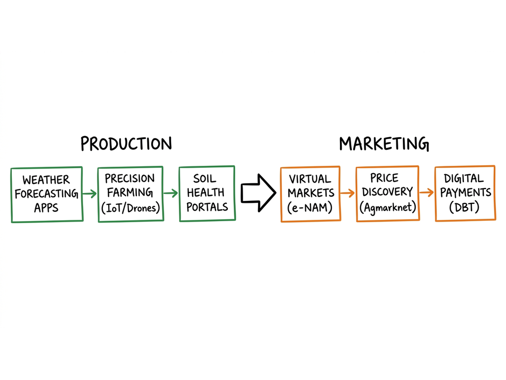 Agricultural value chain: production to marketing