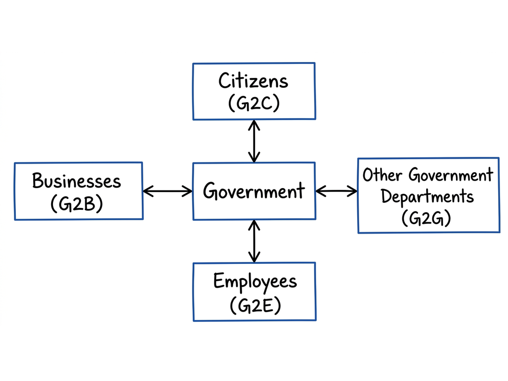 Government interacting with multiple entities model
