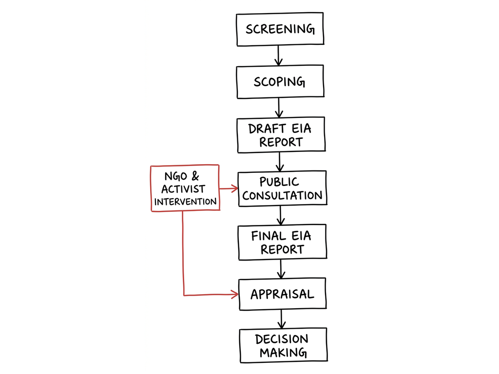 EIA Process with NGO Intervention Steps