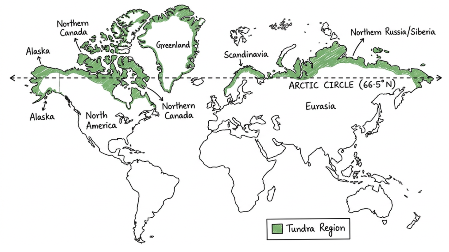 Global Distribution of Tundra Regions