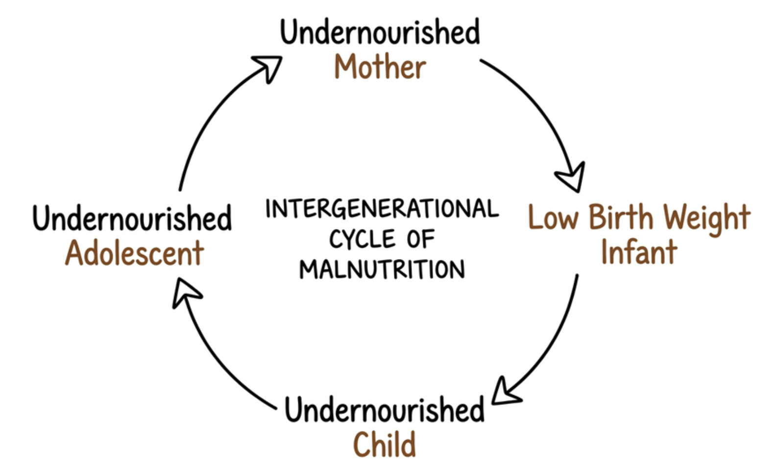 Intergenerational Cycle of Malnutrition Across the Life Course