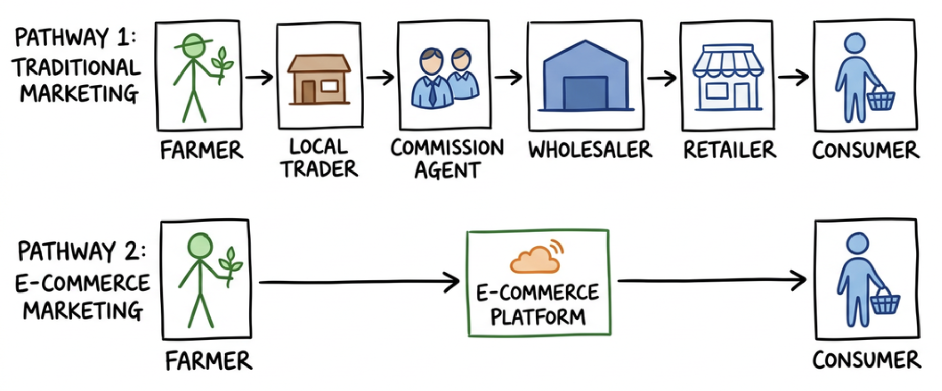 Comparing Traditional and E-commerce Agricultural Marketing Channels