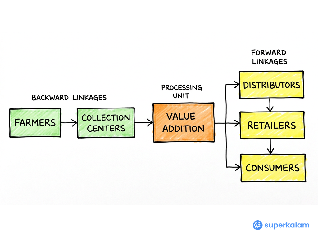 Food Processing Value Chain Flowchart Diagram
