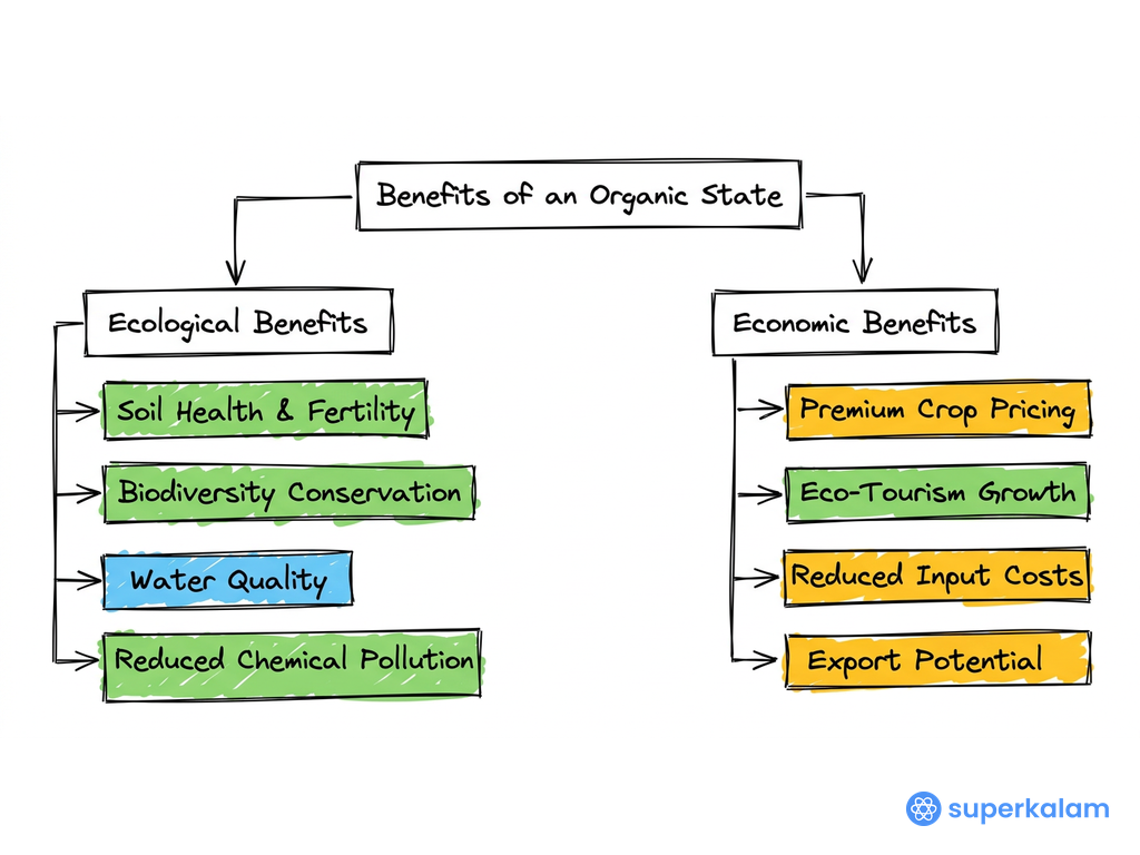 Benefits of an Organic State Flowchart
