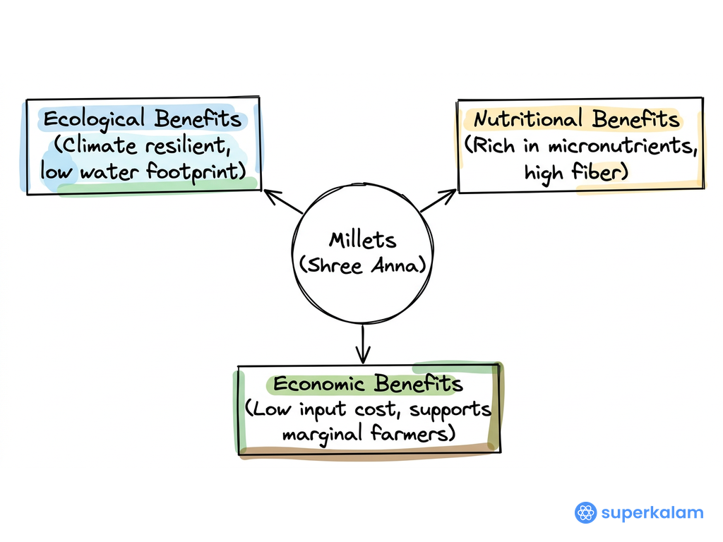 Millets Shree Anna Triad Diagram Overview