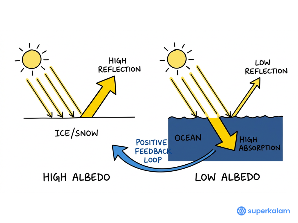 Ice Albedo Feedback Comparative Thematic Diagram